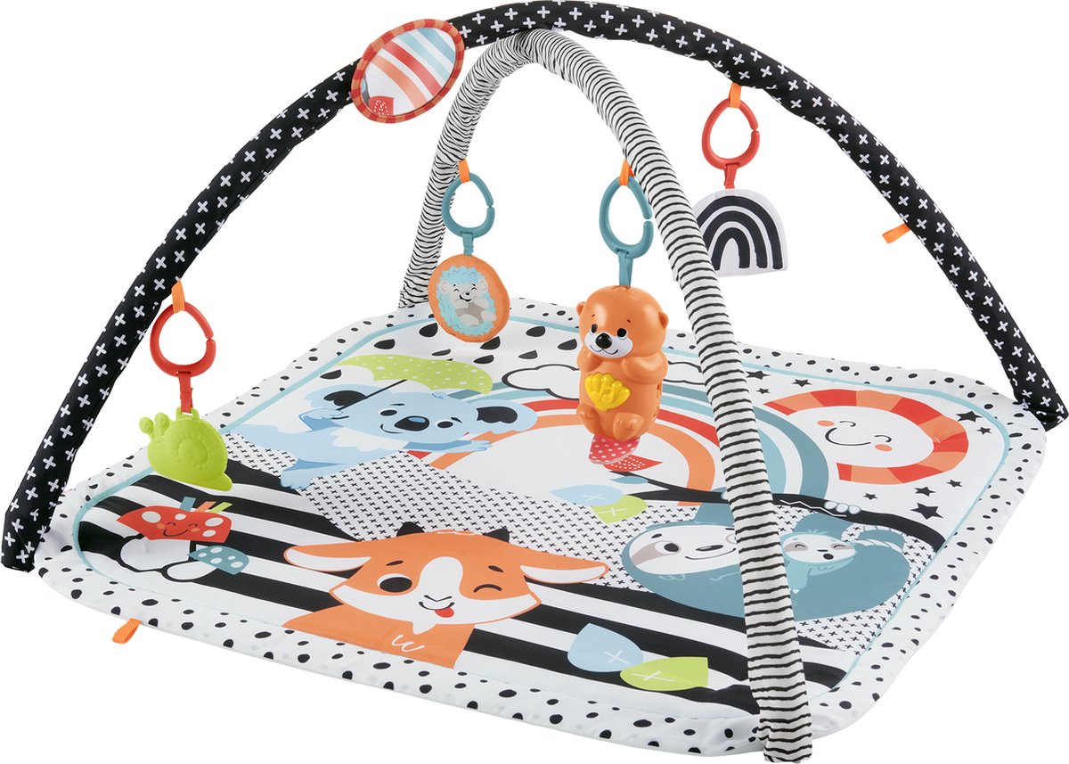 Fisher-Price Baby Muziek Gym 3 in 1