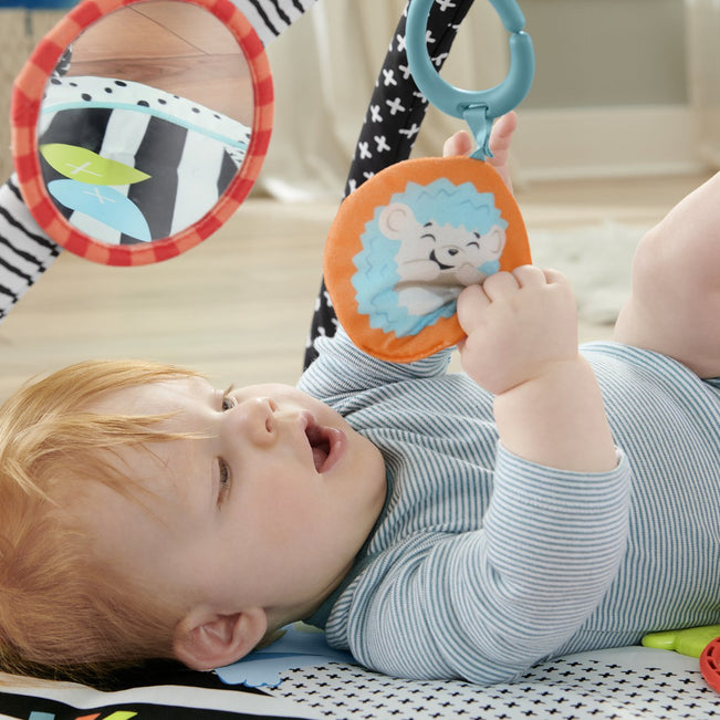 Fisher-Price Baby Muziek Gym 3 in 1