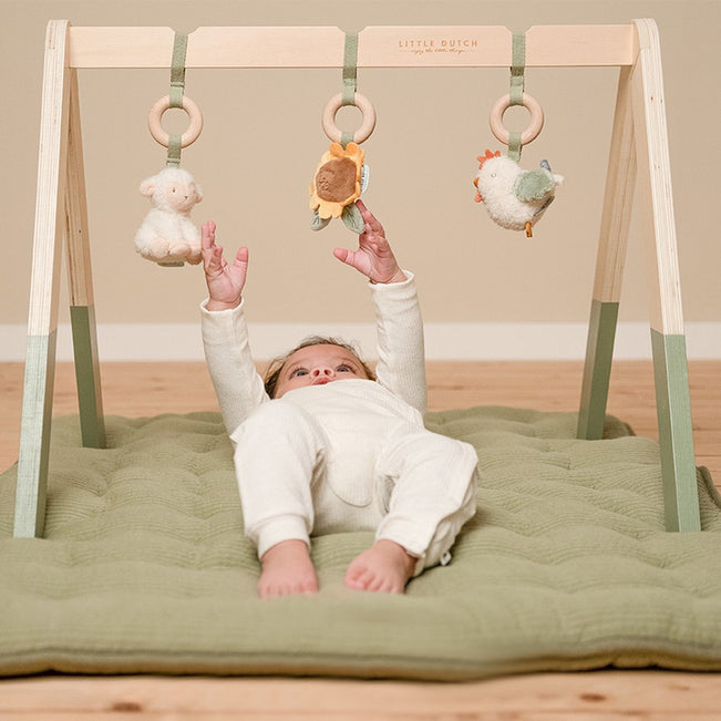 Little Dutch - Babygym - Little Farm