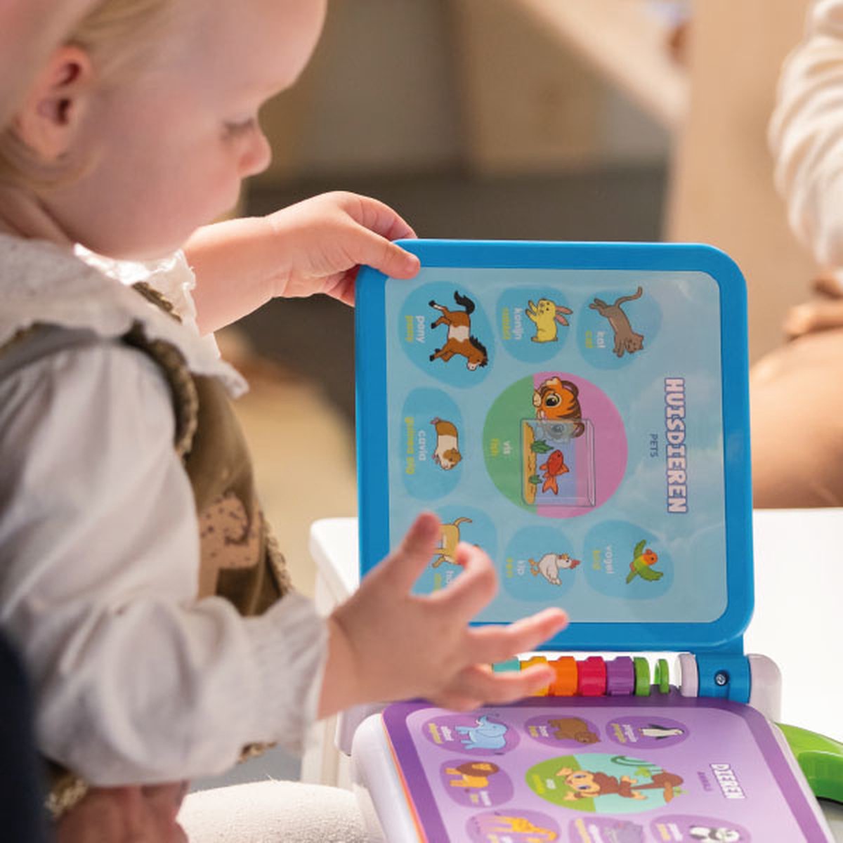 VTech Baby Mijn Eerste 100 Woordjes Boek